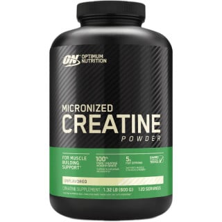 ON Micronized Creatine Powder - 600g